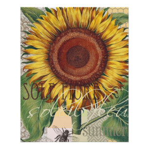 Póster Arte de Flor de Damasco Vintage Girasol