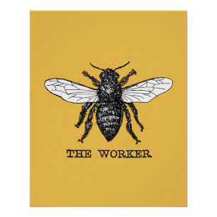Póster Arte de ilustración vintage de abeja trabajadora