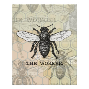 Póster Arte de ilustración vintage de abeja trabajadora