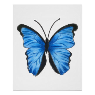 Póster Arte de mariposa azul