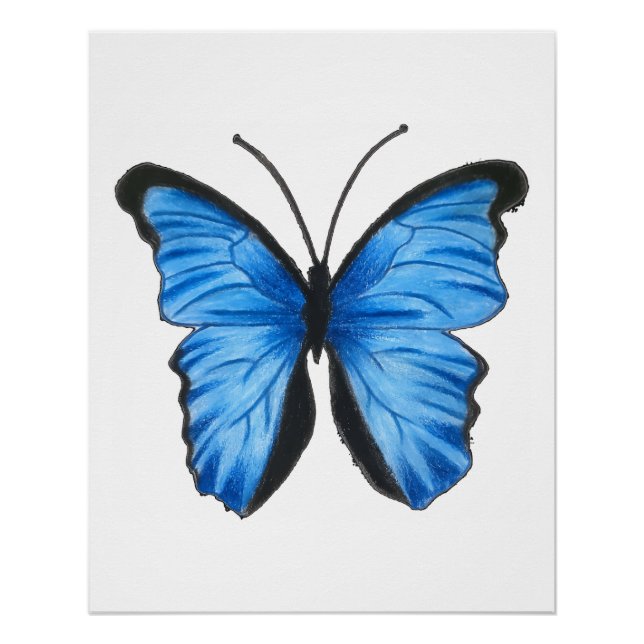 Póster Arte de mariposa azul (Anverso)