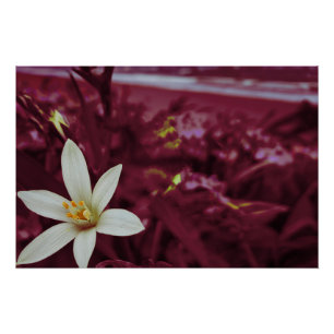 Póster Arte de paisaje de flor de océano