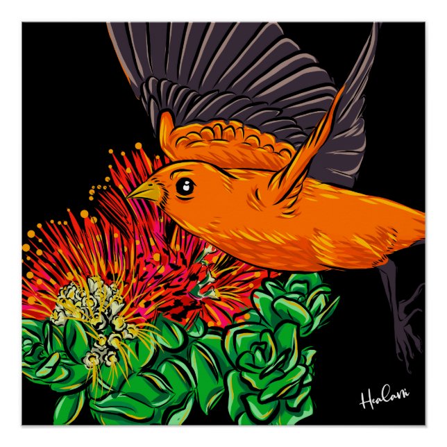 Póster Arte de pájaro hawaiano nativo (Anverso)