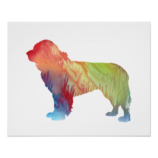 Póster Arte de perros en Terranova (Anverso)