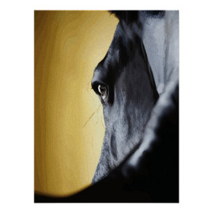 Póster Arte de Primer Plano del Ojo de un Caballo Majestu