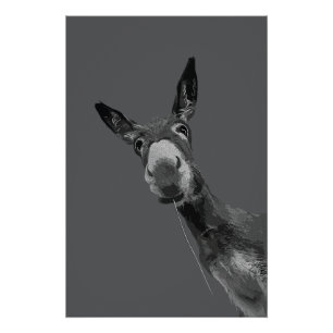 Póster Arte de retrato en escala de grises de burro diver