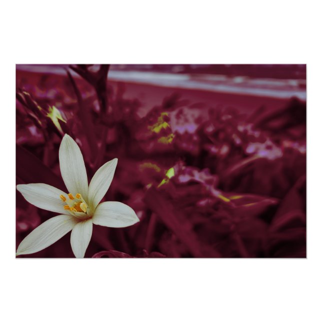 Póster Arte del paisaje de las flores del océano (Anverso)