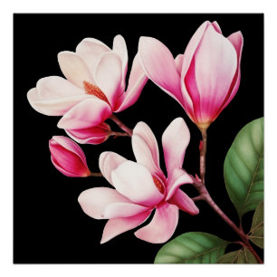 Póster Arte floral de flor rosa simple elegante