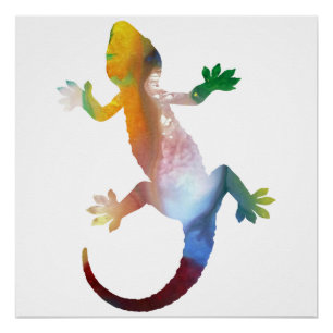 Póster Arte gecko