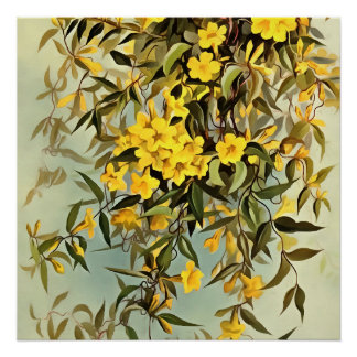 Póster Arte Jasmine de Carolina Carolina