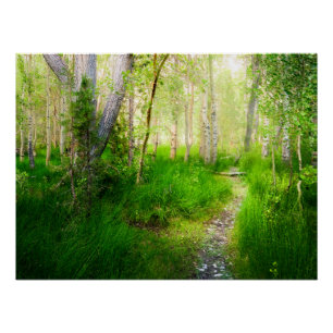 Póster Arte mural de Aspen Meadow en Convict Lake Impresi