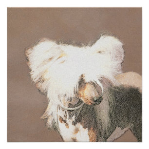Póster Arte original de perro Crestada China sin pelo Pin