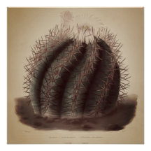 Arte vintage de cactus