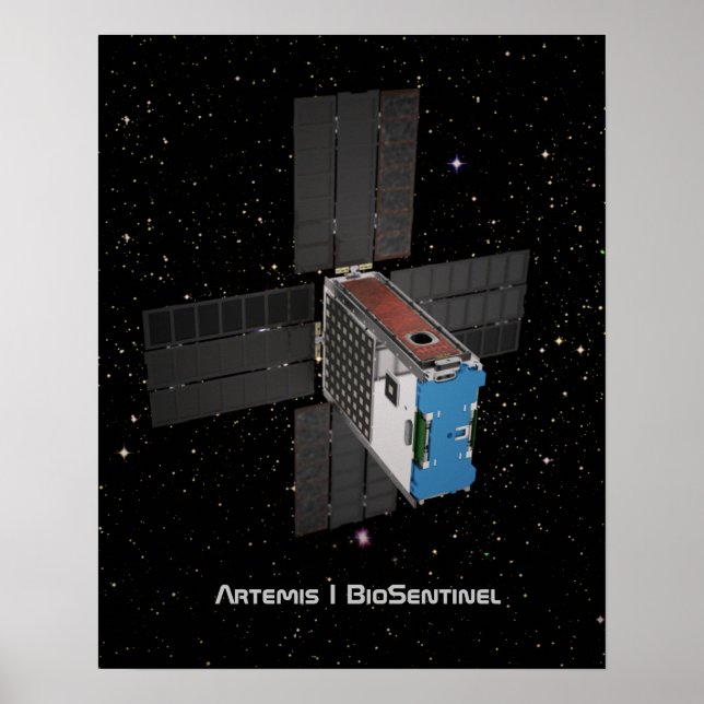 Póster Artemis BioSentinel CubeSat (Frente)