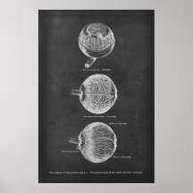 Arterias de anatomía ocular humana del coroide y e