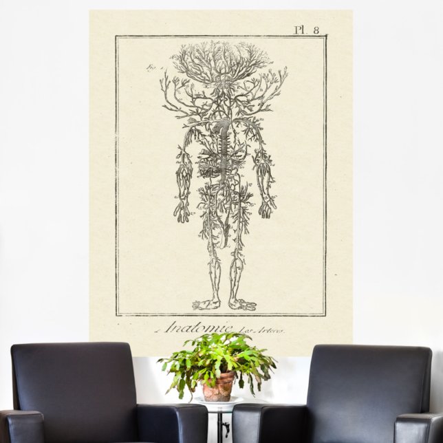 Póster Arterias de grabado de anatomía antigua (Subido por el creador)