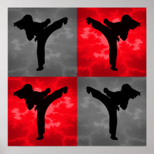 Póster Artes marciales