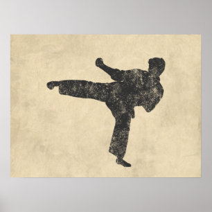 Póster Artes marciales