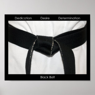 Póster Artes Marciales Cinturón Negro Motivacional