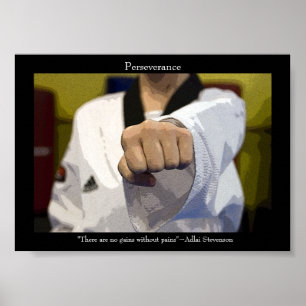 Póster Artes Marciales Puñetazo Medio