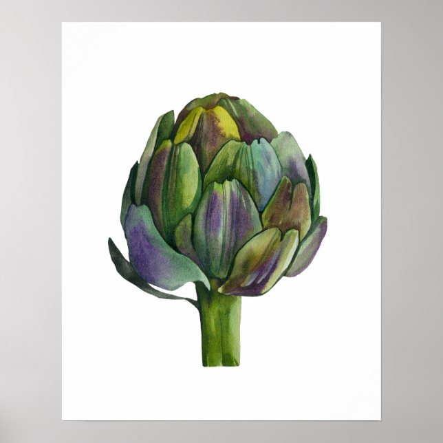 Póster Artichoke orgánico de acuarela (Frente)