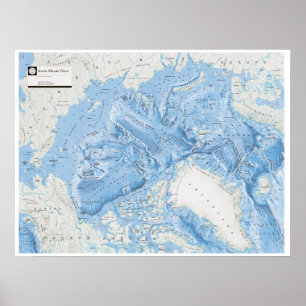 Póster " Ártico: El mapa de la PLANTA ÁRTICA del Océano .