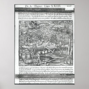 Póster Articulación de una ballena