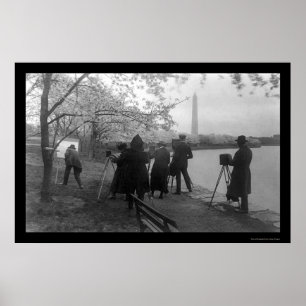 Póster Artistas y cerezos en Washington, DC 1920