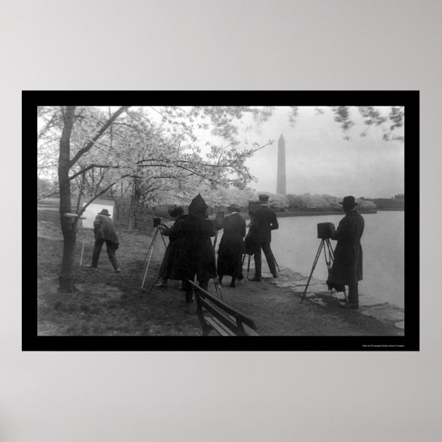 Póster Artistas y cerezos en Washington, DC 1920 (Frente)