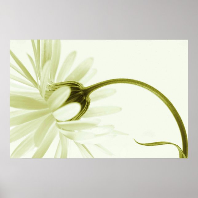 Póster Artless (Frente)