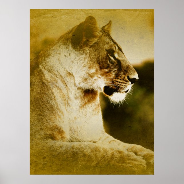 Póster *~* Artsy AP23 acuarela artística Golden LIONESS (Frente)
