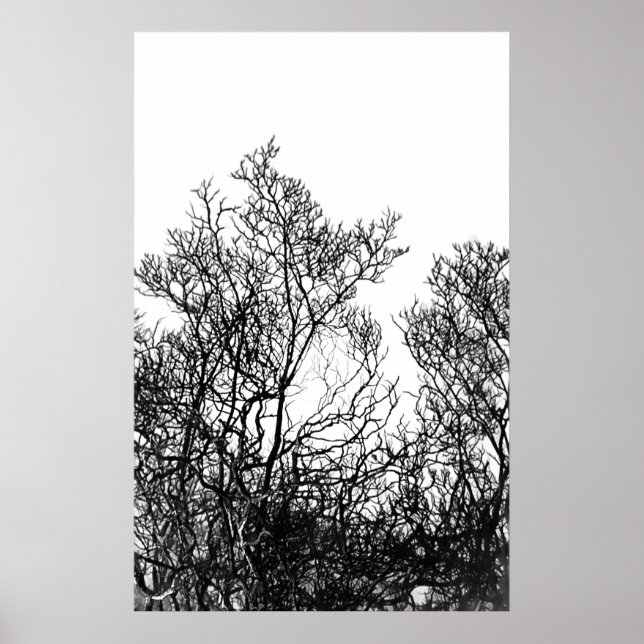 Póster Artsy Black and White Tree Modern (Frente)