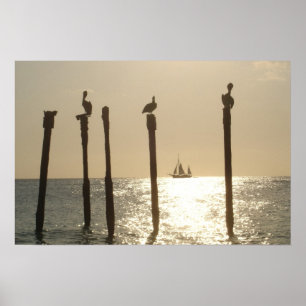 Póster Aruba