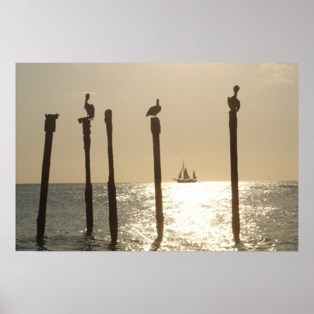 Póster Aruba (Frente)