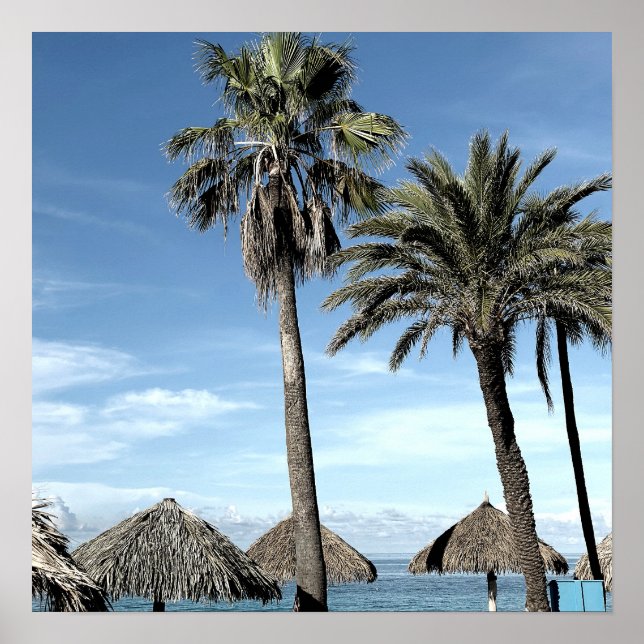 Póster Aruba Ocean View Palm Trets and Beach Palapa Huts (Frente)