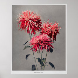 Póster Asa-dsuma-bune de Kazumasa Ogawa (1896)