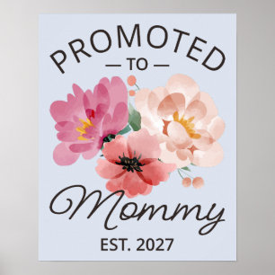 Póster Ascendida a Mamá Est 2027 Anuncio de Nueva Mamá VI