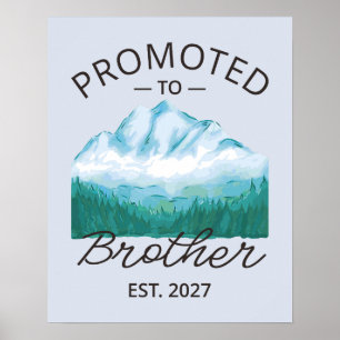 Póster Ascendido a Hermano Est 2027 Big Brother VI