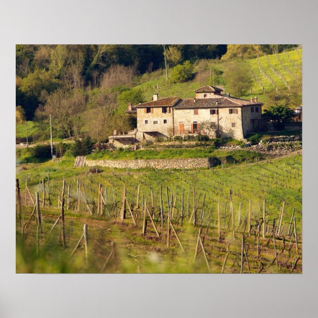 Póster Aschuito, a working farm that accepts guests, (Frente)