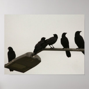 Póster Asesinato a la luz de las calles