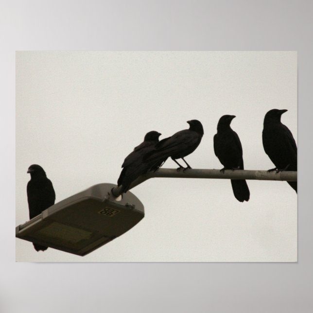 Póster Asesinato a la luz de las calles (Frente)