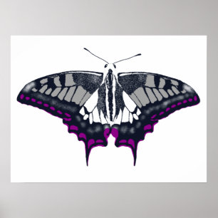Póster Asexual Flag Swallowtail Butterfly