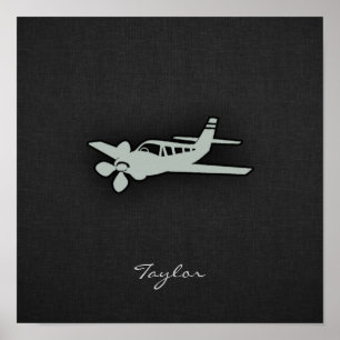 Póster Ash Gray Plane