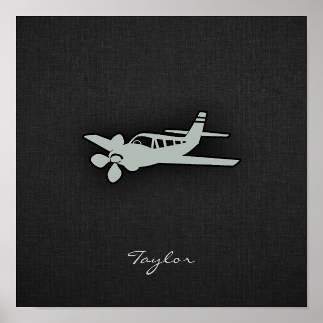 Póster Ash Gray Plane (Frente)