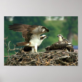 Póster Así es como funcionan estas cosas