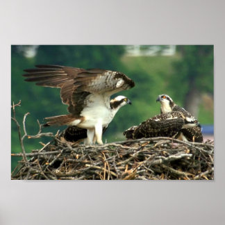 Póster Así es como funcionan estas cosas