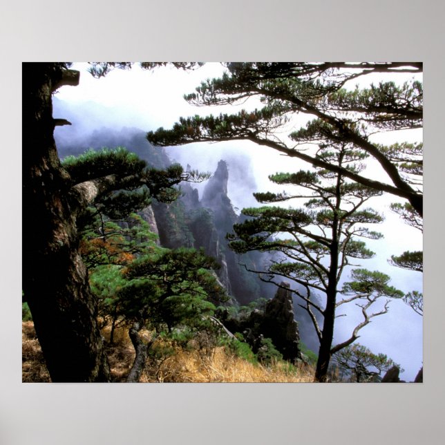 Póster Asia, China, Huanshan. El monte amarillo (Frente)