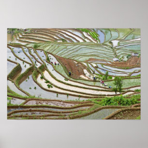 Póster Asia, China, Yunnan, Jinping. Pueblo Yi nativo