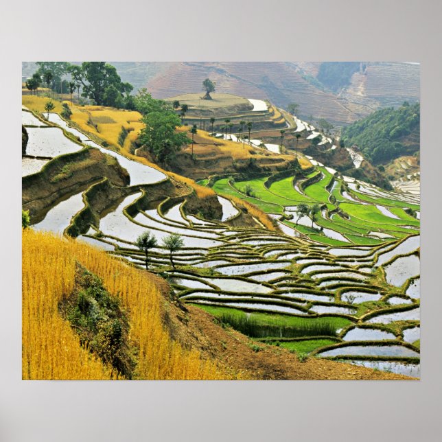 Póster Asia, China, Yunnan, Prefectura de Yuxi; Yuanjiang (Frente)