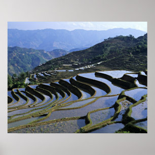 Póster Asia, China, Yunnan, Yuanyang. Escabroso